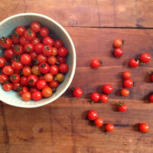 Matt's Wild Cherry Tomato, 15 seeds, Mexican heirloom, tiny red fruit, tangy flavor, ripens early, huge harvest, loves tropical heat, tasty