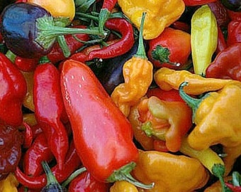 Exotic Hot Chile Pepper Collection, 50 seeds, great gift for gardeners, chili sampler, 5 fierce peppers, Fish, Paper Lantern, Fatalii