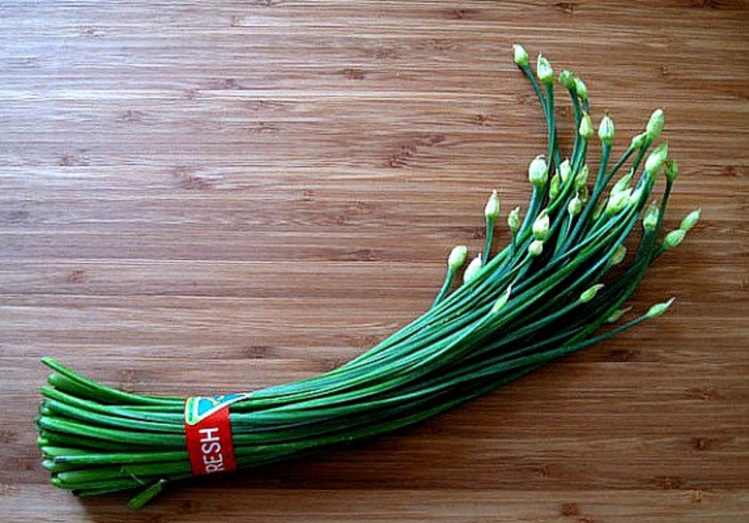 Garlic Chives, Allium Tuberosum, 200 Seeds, Sweet Cut Flower, Tasty