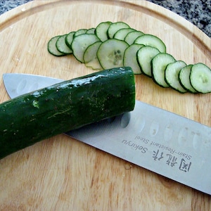 Japanese Cucumber Yamato Sanjaku, 10 seeds, sushi bar classic heirloom, long slender fruit, sweet and crisp