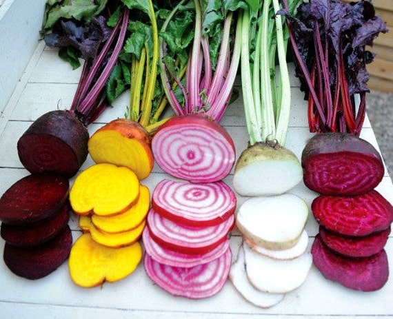 Rainbow Beet Collection, five fancy heirlooms, 300 mixed seeds, fall garden, saute, salads, juice, cool weather crop, easy to grow, non GMO Rainbow Beet Collection, five fancy heirlooms, 300 mixed seeds, fall garden, saute, salads, juice, cool weather crop, easy to grow, non GMO