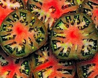 Black Sea Man, Russian heirloom tomato 10 seeds, non GMO, super tasty tomato, meaty fruit, ripens early, psychedelic slices