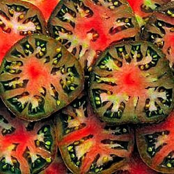 Black Sea Man, Russian heirloom tomato 10 seeds, non GMO, super tasty tomato, meaty fruit, ripens early, psychedelic slices