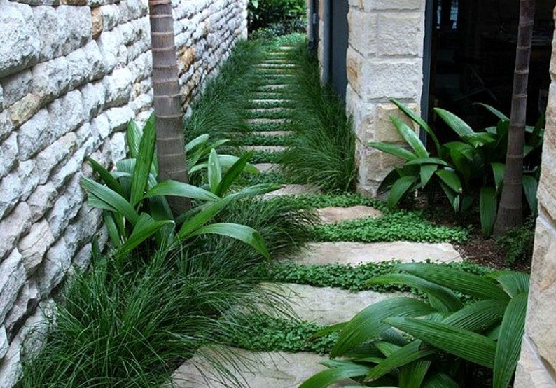 path