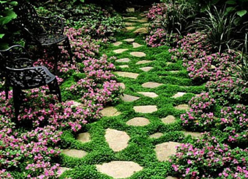 path 2