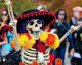 Souci du jour des morts - Tagetes erecta Fleurs dia de los muertes, 20 graines