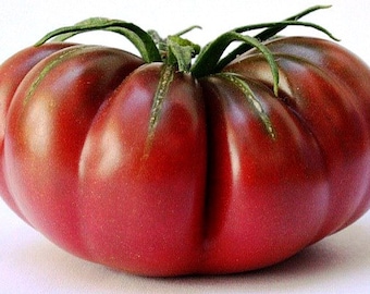 Purple Calabash, Aztec heirloom tomato, 10 seeds, ruffled fruit, luscious flavor, drought-tolerant, crack resistant, stores well