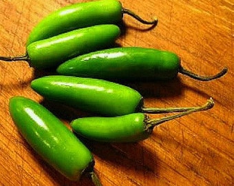 Piment serrano, 10 graines, super piquant, idéal pour la salsa, mariné, cuisine mexicaine ou thaïlandaise, petites plantes touffues, graines anciennes