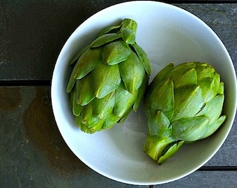 Green Globe Artichoke, 15 seeds, graceful plants, silver foliage, dramatic blooms, cut flowers, fine eating, dappled sun, mild climate