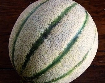 Tuscany Melon, Italian heirloom, 10 seeds, sweet fragrant cantaloupe, hard to find, luscious flavor