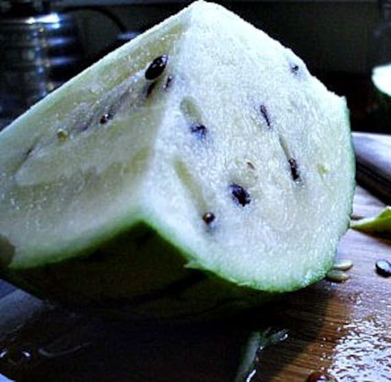 La blanca watermelon outlet