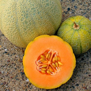 May include: Three cantaloupe melons, one whole green melon, one whole tan melon, and one cut open tan melon revealing orange flesh and seeds.