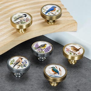 May include: A collection of six round cabinet knobs featuring detailed bird illustrations. The knobs have metallic gold or silver-toned circular frames and white centers displaying various birds perched on branches with flowers and berries.
