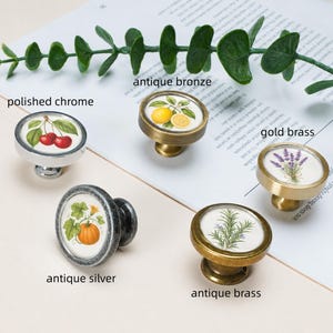 May include: Five round cabinet knobs with botanical illustrations. The knobs feature finishes labelled as polished chrome with cherries, antique bronze with lemons, gold brass with lavender, antique silver with a pumpkin, and antique brass with rosemary.
