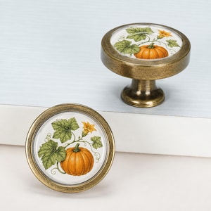 May include: Two round cabinet knobs with an antique brass finish. Each knob features a central circular inlay displaying a detailed illustration of an orange pumpkin with green leaves and a yellow flower on a white background.