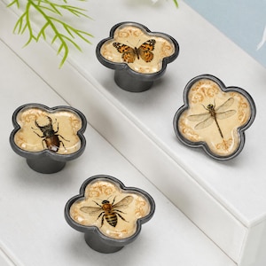 Puede incluir: Cuatro pomos de armario en forma de trébol con un marco de metal oscuro y un centro de color crema. Cada pomo presenta una ilustración de insecto diferente: una mariposa, un ciervo volante, una libélula y una abeja, sobre un patrón de volutas.