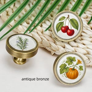 May include: Three round cabinet knobs with an antique bronze finish. Each knob features a white centre insert with a botanical illustration: one shows a sprig of rosemary, one shows red cherries, and one shows an orange pumpkin.