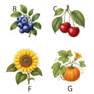 May include: A collection of eight botanical illustrations labelled A through H, featuring a yellow lemon, blue blueberries, red cherries, green rosemary, a peach, a yellow sunflower, an orange pumpkin, and a bundle of purple lavender.