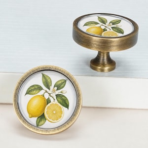 May include: Two round cabinet knobs with an antique brass finish. Each knob features a circular insert displaying a botanical illustration of a yellow lemon, a lemon slice, green leaves, and white blossoms on a white background.