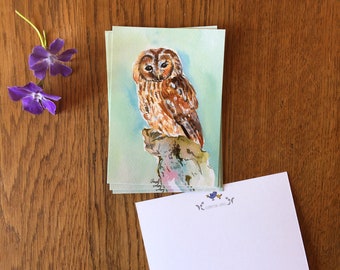 Tawny owl postcard