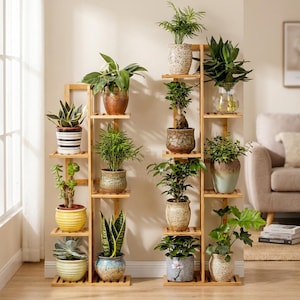 Op de afbeelding: Twee getrapte plantenstandaards van bamboe met meerdere planken voor diverse potplanten. De linker standaard heeft vijf niveaus, de rechter heeft zes niveaus. De planten omvatten vetplanten, varens en groen blad in diverse keramische potten.