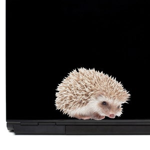 Hedgehog Laptop Decal | macbook deal iphone decal car decal hedgehog decal free shipping vinyl decal yeti decal hedgehogs phone decals