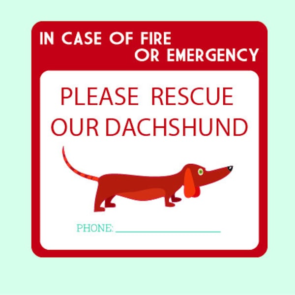 Pet Inside Sticker Etsy