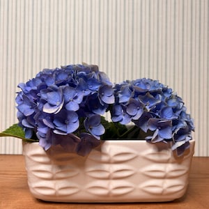 May include: A rectangular white ceramic planter featuring a repeating embossed leaf-like pattern on its exterior. The planter is filled with two large, vibrant blue hydrangea flower heads with green leaves visible at the base of the blooms.