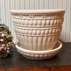 May include: A cream-colored ceramic plant pot with a matching saucer, featuring a textured exterior with horizontal bands of raised dots and vertical fluted detailing around the body and the rim of the base, providing a classic and structured appearance.