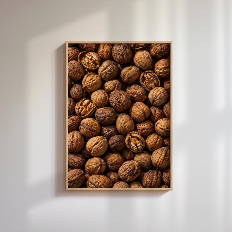 Shell Composition Drawing Walnut Wall Art, Food Photography Poster, Rustic Kitchen Decor, Nut ...