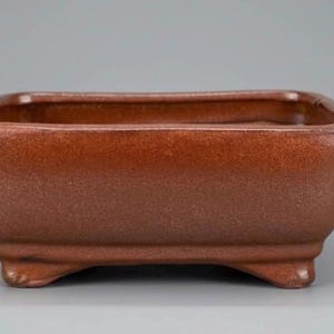 May include: A rectangular ceramic bonsai pot with a smooth, glossy, reddish-brown glaze. The container features slightly rounded corners, a wide opening, and four short, sturdy feet at the base, providing a stable foundation for plant growth.