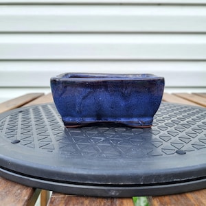 May include: A rectangular ceramic bonsai pot featuring a deep cobalt blue glaze with darker, near-black tones along the upper rim and corners. The pot has a smooth, glossy finish and a thick, sturdy base with a visible reddish-brown clay edge.