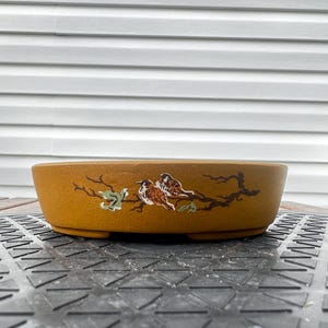 May include: A round, mustard-yellow ceramic bonsai pot featuring a painted design of two brown birds perched on a dark brown tree branch with small green leaves. The pot has a smooth, matte finish and a low-profile, wide cylindrical shape.