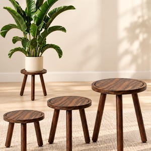 May include: A set of four round wooden stools with dark brown wood grain patterns, each featuring three cylindrical legs. One stool supports a white pot containing a large green plant with broad, upright leaves, while three stools stand independently.