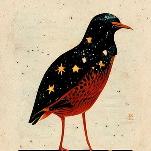 May include: A stylized illustration of a bird with a black and red body and a black head. The bird is covered in gold stars and is standing on a black surface with gold stars.