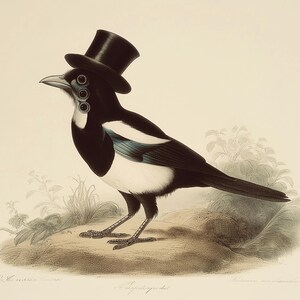 May include: An illustration of a magpie bird wearing a black top hat. The bird has black and white feathers with a touch of blue. The artwork is set against a light background with subtle botanical details.