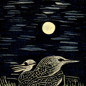 Northern flicker bird at night - AI linocut style 8x10 inch art print