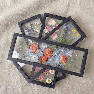 Könnte beinhalten: Eine Sammlung rechteckiger schwarzer Rahmen mit gepressten Trockenblumen. Das Arrangement zeigt verschiedene botanische Exemplare, darunter rosa Ranunkeln, blaue Rittersporne, Lavendelzweige, weiße Gänseblümchen und grüne Farnblätter zwischen klaren Glasscheiben.