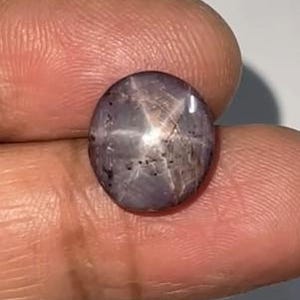 Può includere: Una gemma di zaffiro stellato tagliata a cabochon rotondo con una tonalità grigio-violacea. La pietra presenta un distinto effetto a stella a sei raggi, noto come asterismo, centrato sulla superficie lucida, con inclusioni naturali.