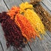 Teeswater Locks, Extra Long, Dyed, Tailspinning, Extreme, Doll Hair, Rehair, Spin, Felt, Fleece, 1 ounce, Variegated Variations