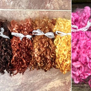 May include: Five bundles of curly wool locks in shades of dark brown, reddish-brown, light brown, golden yellow, and bright pink. Each bundle is tied with a white lace ribbon, showcasing the natural texture and vibrant colors of the fiber.
