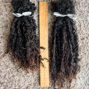 Wensleydale Wool Locks, Washed, Extra Long, 1 oz Black, Brown Fiber for Spinning, Felting, Weaving, Doll hair, rehair