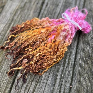 May include: A bundle of curly, dyed wool fibers in shades of brown, orange, and pink, tied with a white ribbon. The fibers have a textured, wavy appearance, suggesting they are for crafting or textile art projects.