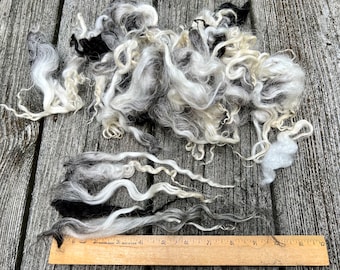 Icelandic Fleece, Lamb, Washed, Natural, Undyed, Black, White, Gray, 2 ounces, Tailspinning, Spin, Felt, Doll Hair, Wool, Multicolored