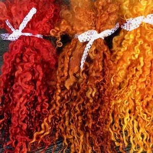 Teeswater, Wensleydale Locks, Extra Long, Dyed, Tailspinning, Doll Hair, Rehair, Spin, Felt, Fleece, Autumn, Variegated Variations