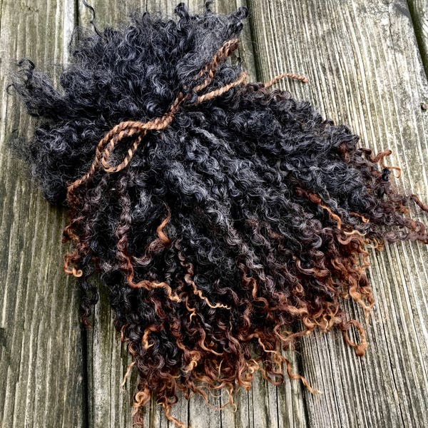 Wensleydale Locks, Long, Wool, Fleece, Washed, Undyed, Black, Brown, 1.6 Ounces, Natural, Fiber, Wool, Spin, Felt, Sunkissed Locks