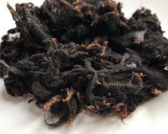 BFL (Bluefaced Leicester)  Lamb Fleece, Washed, Undyed, Colored, 2 Ounces, Natural, Brown, Silver, Fiber, Wool, Spin, Felt, Doll Hair