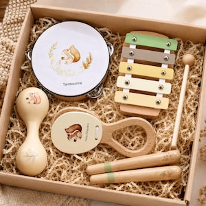 May include: A musical instrument set in a cardboard box containing a round tambourine with a squirrel illustration, a wooden xylophone with five pastel-colored metal bars, a maraca, a wooden hand shaker, and two wooden mallets with green accents.