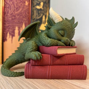 Fantasy draak voor boekenplank | boeken decoratie | cadeau voor boeken liefhebber