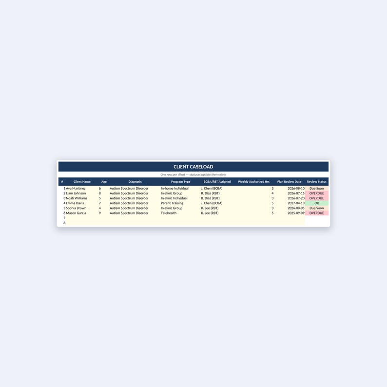 May include: A digital spreadsheet titled Client Caseload with columns for client name, age, diagnosis, program type, assigned staff, weekly hours, review date, and status. The table lists six clients with Autism Spectrum Disorder and review statuses.